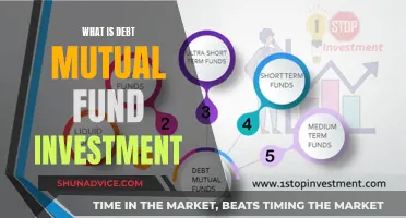 Debt Mutual Fund Investment: What You Need to Know