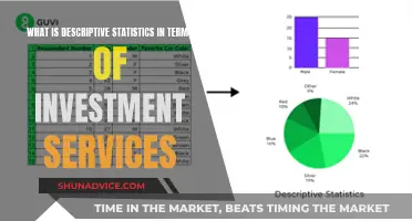 Unraveling Descriptive Statistics: A Guide to Investment Insights