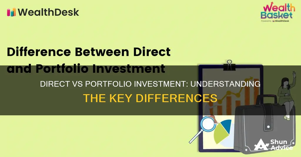 what is direct investment and portfolio investment