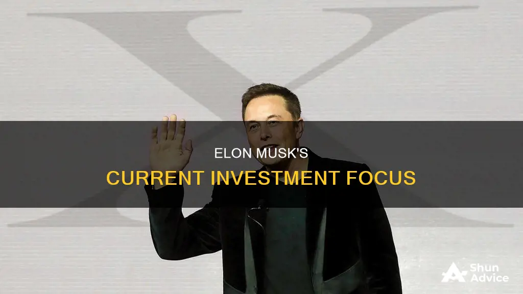 what is elon musk investing in right now