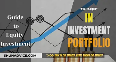 Understanding Investment Portfolios: The Role of Equity