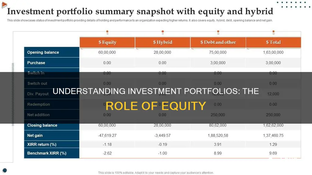 what is equity in investment portfolio