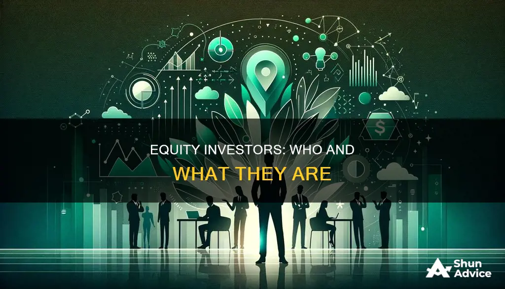 what is equity invester