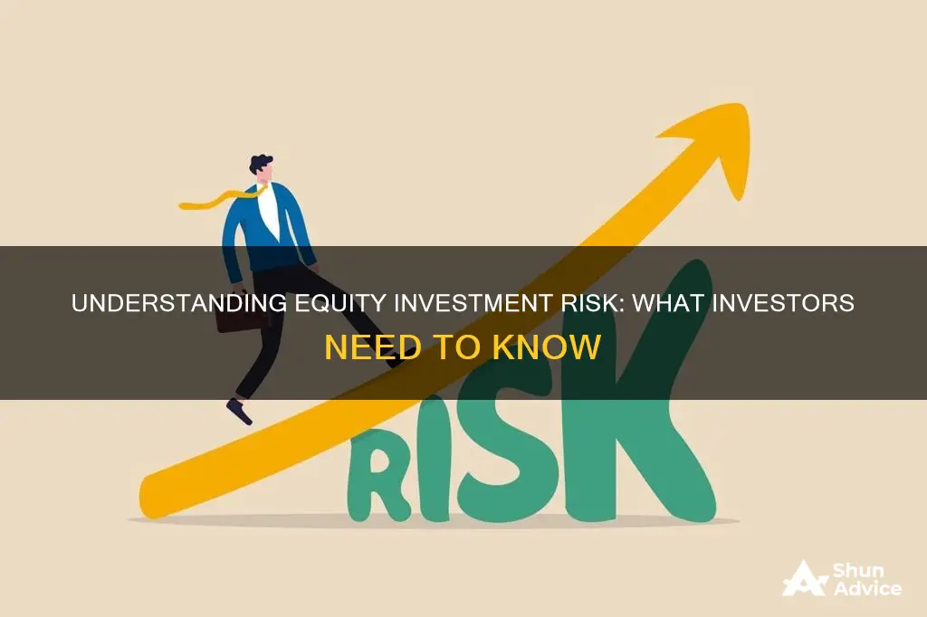 what is equity investment at risk