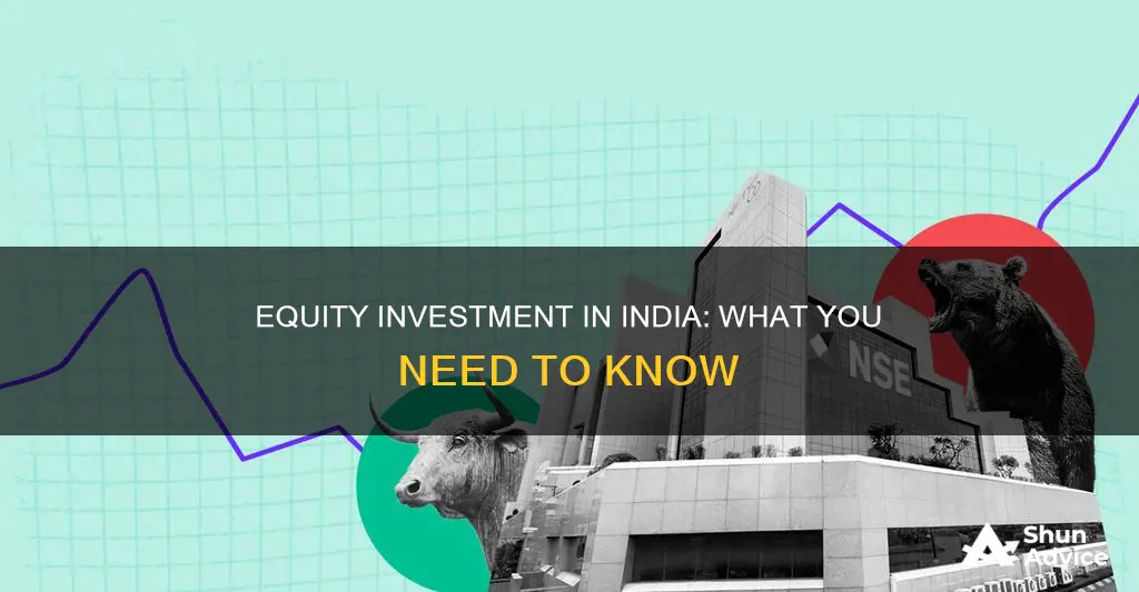 what is equity investment in india