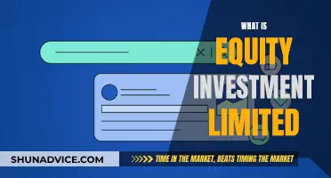 Equity Investment Limited: Understanding the Basics