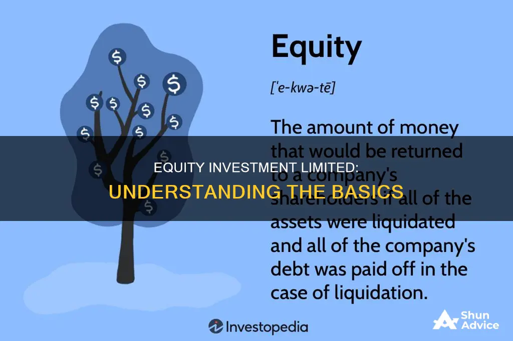 what is equity investment limited