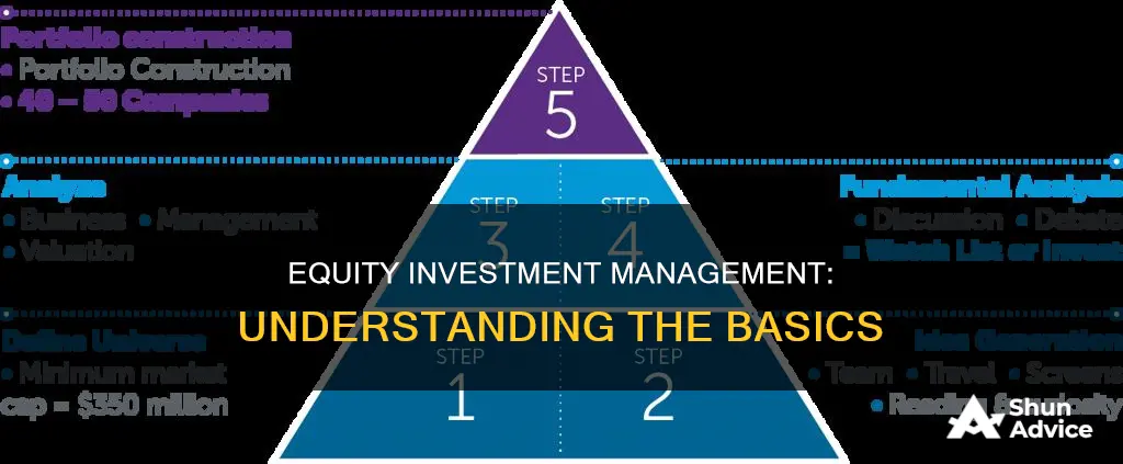 what is equity investment management