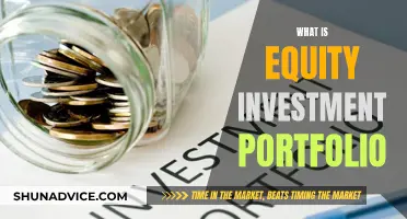 Equity Investment Portfolio: Understanding Your Stock Holdings