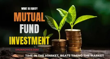 Equity Mutual Fund Investment: What You Need to Know