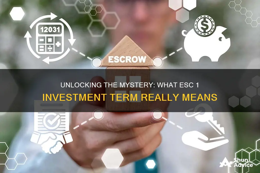 what is esc 1 investment term