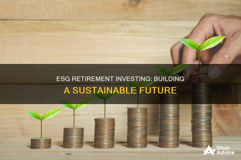 what is esg retirement investing