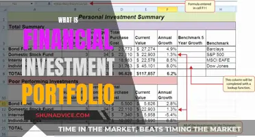 Understanding Your Financial Investment Portfolio Better