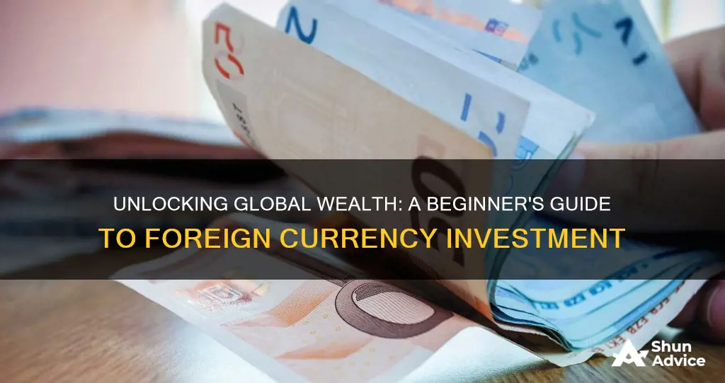 what is foreign currency investment