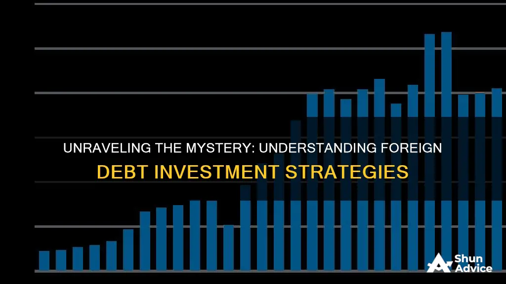 what is foreign debt investment