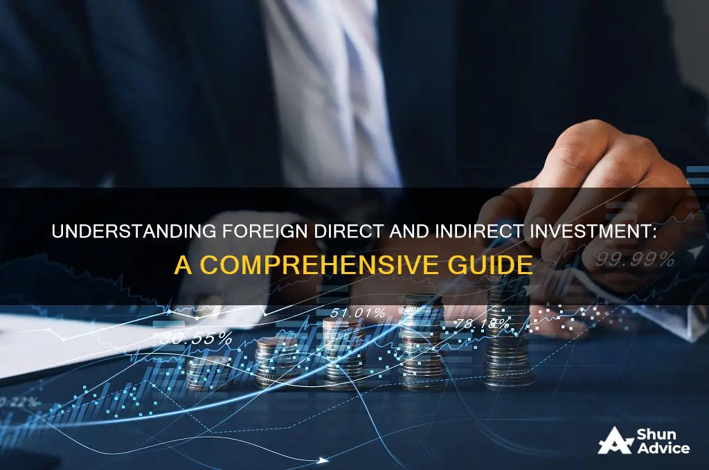 what is foreign direct and indirect investment