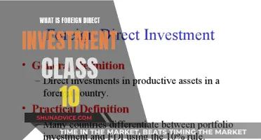 Understanding Foreign Direct Investment: A Comprehensive Guide for Young Learners