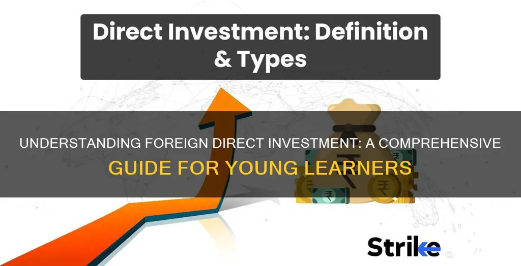 what is foreign direct investment class 10