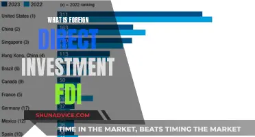 Unraveling the Global Impact: Understanding Foreign Direct Investment (FDI)