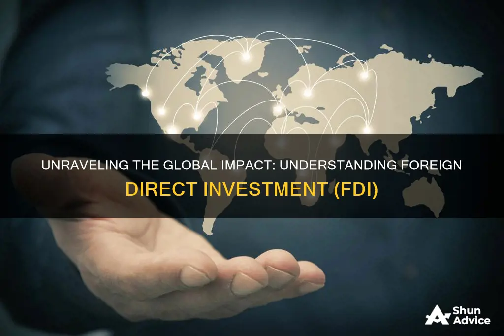 what is foreign direct investment fdi