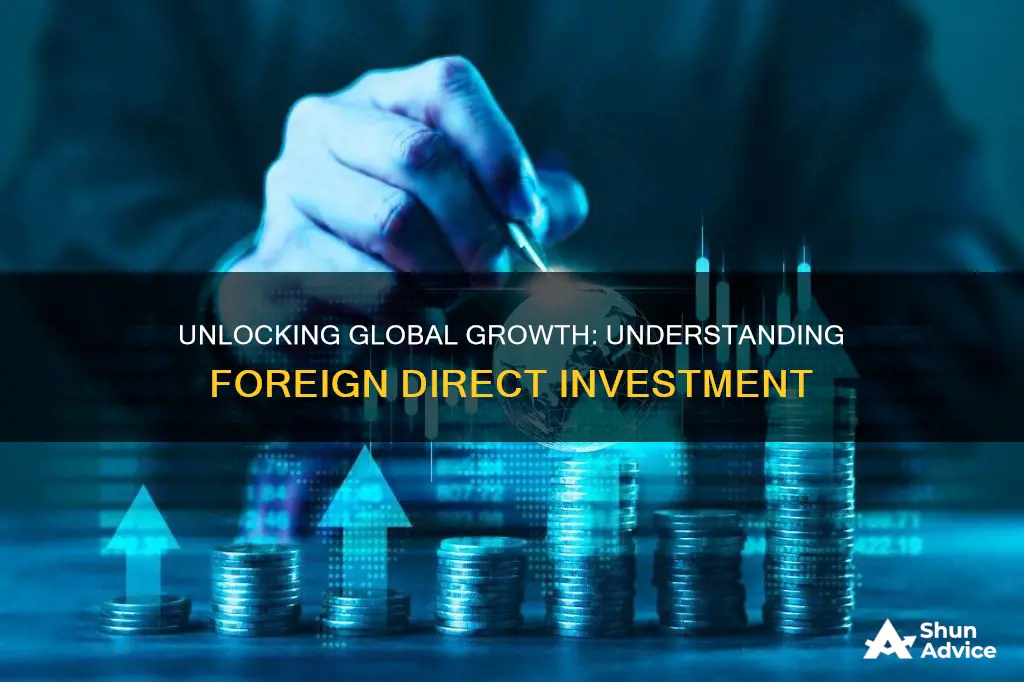 what is foreign direct investment in simple terms