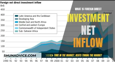 Understanding Foreign Direct Investment Net Inflow: A Comprehensive Guide