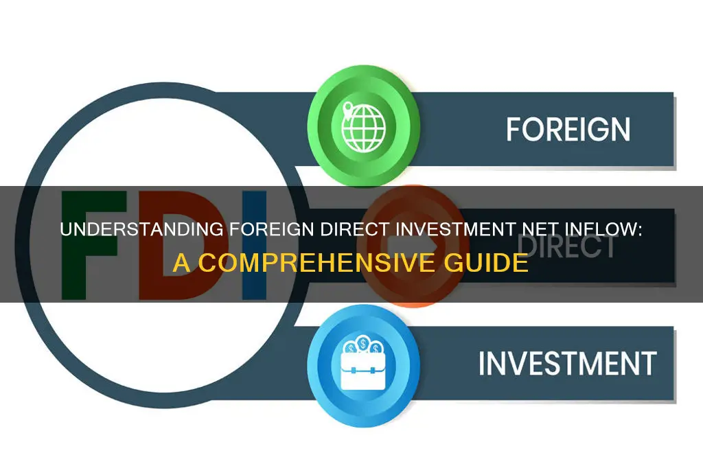 what is foreign direct investment net inflow