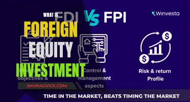 Unlocking Global Growth: Understanding Foreign Equity Investment