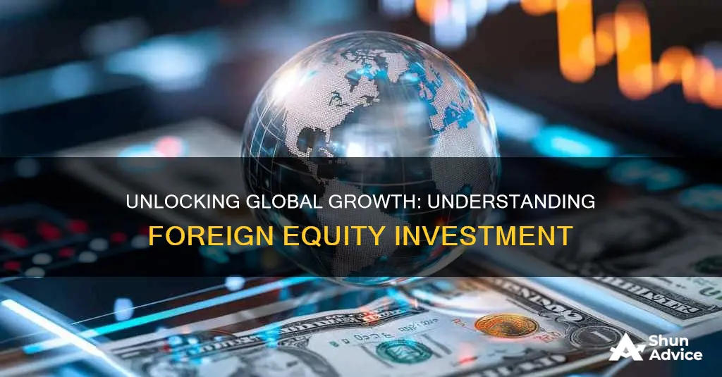 what is foreign equity investment