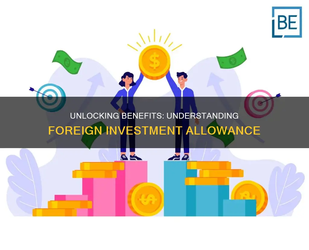 what is foreign investment allowance