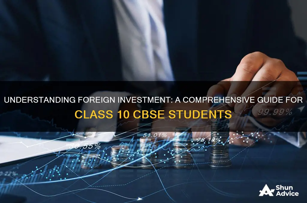 what is foreign investment class 10 cbse