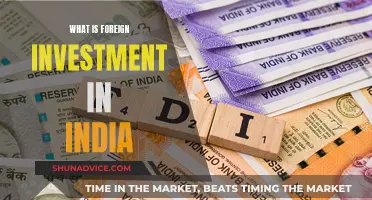 Foreign Investment in India: Global Money Magnet?