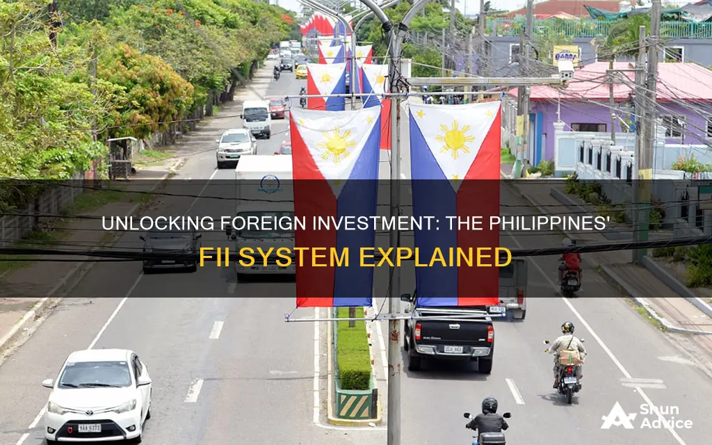 what is foreign investment information system philippines