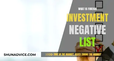 Unlocking Foreign Investment: Understanding the Negative List Approach