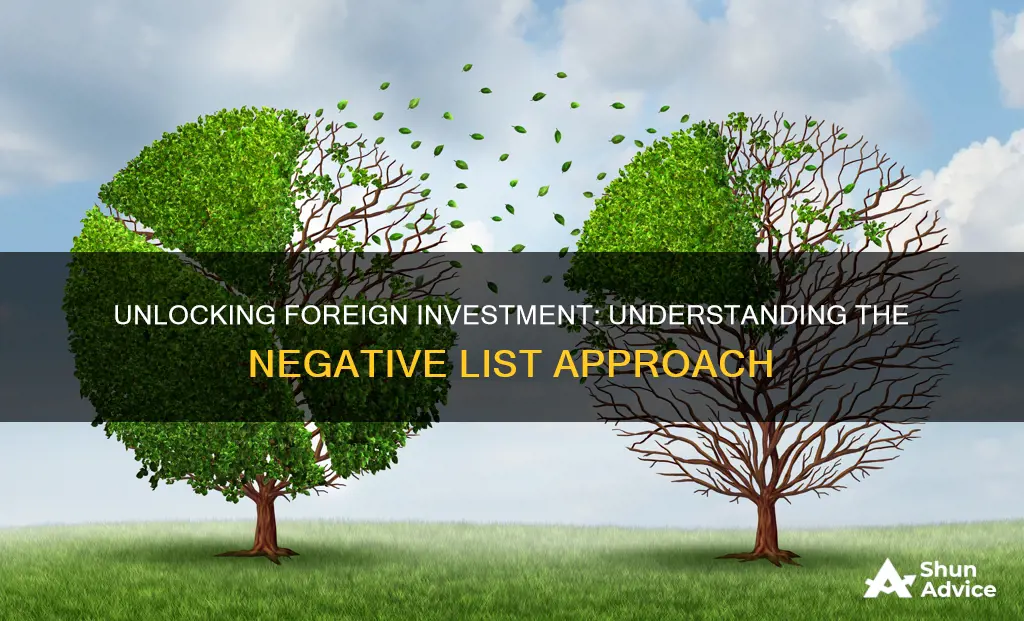 what is foreign investment negative list