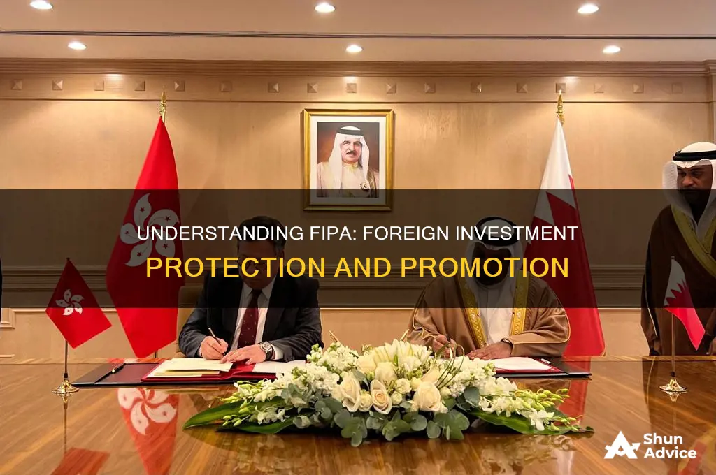 what is foreign investment promotion and protection agreement