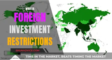 Unlocking Global Investment: Navigating Foreign Investment Restrictions