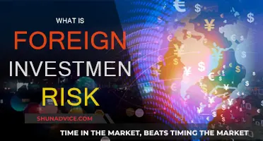 Foreign Investment Risk: Understanding Global Financial Threats