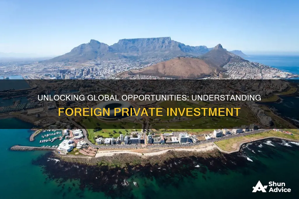 what is foreign private investment