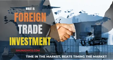 Unraveling the Complexities of Foreign Trade Investment