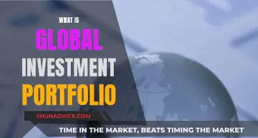 Global Investment Portfolio: Understanding Your Worldwide Assets