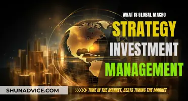 Global Macro Strategy: Investment Management Explained