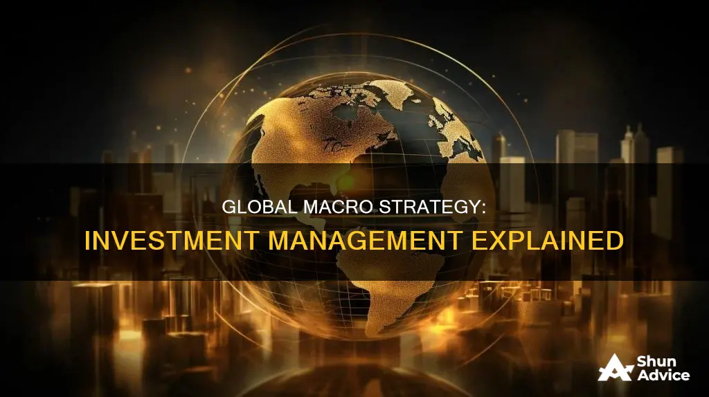 what is global macro strategy investment management