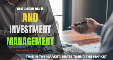 Wealth and Investment Management: Global Strategies for Success