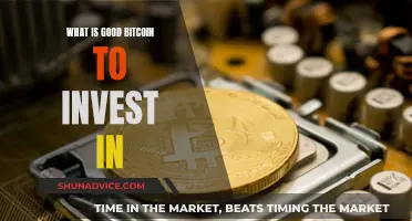 Best Bitcoin Investment Options: Where to Invest?