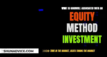 Equity Method Investment: Understanding Goodwill's Role