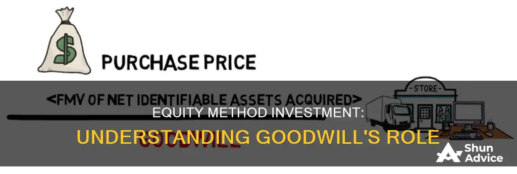 what is goodwill associated with an equity method investment