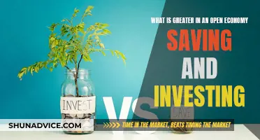 Savings or Investments: Open Economy, Open Question