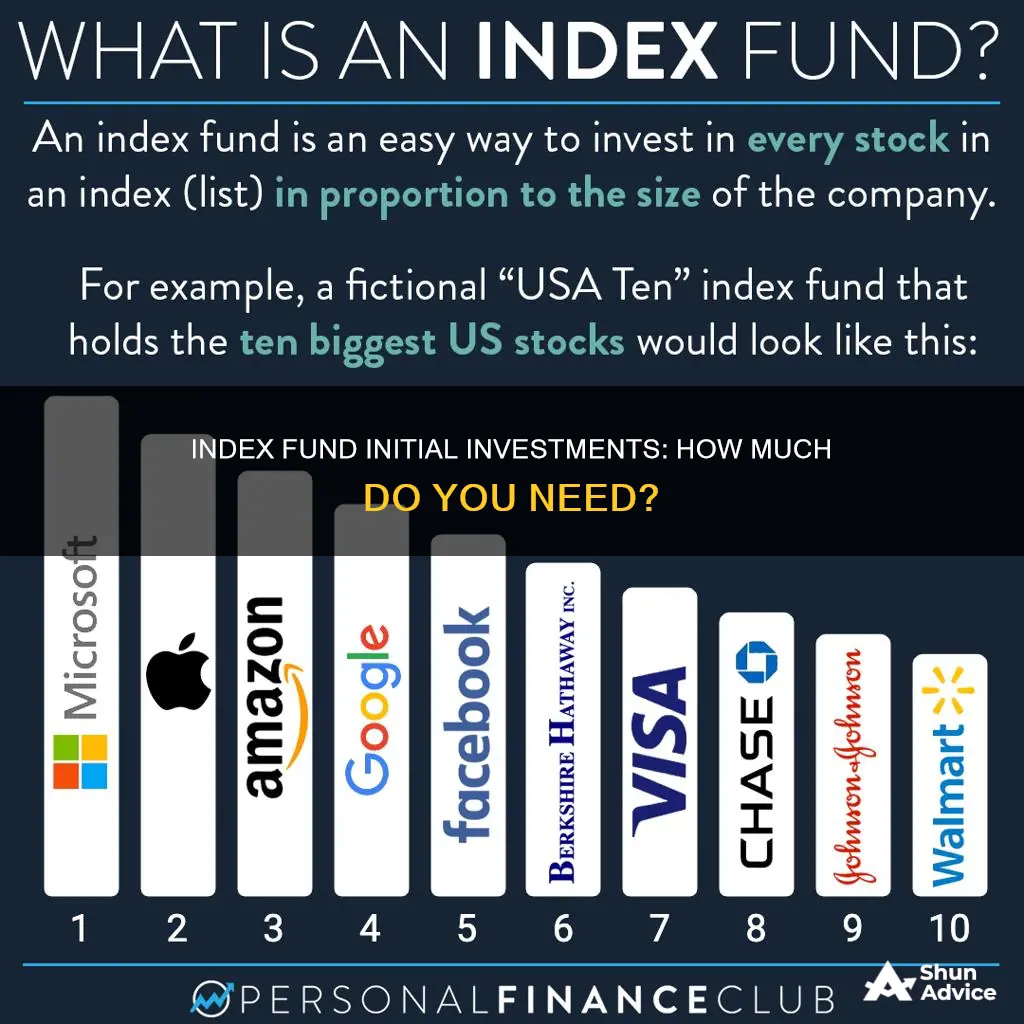 what is index fund initial investment