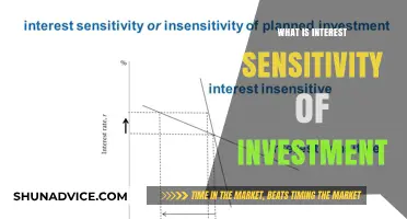 Understanding Interest Sensitivity: Impact on Investment Decisions